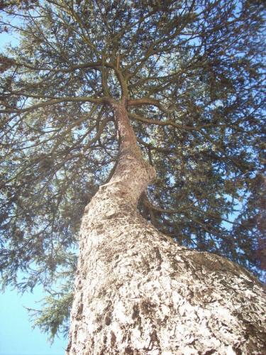 Fotografia de Julia - Galeria Fotografica: Sacadas por mi. - Foto: 								