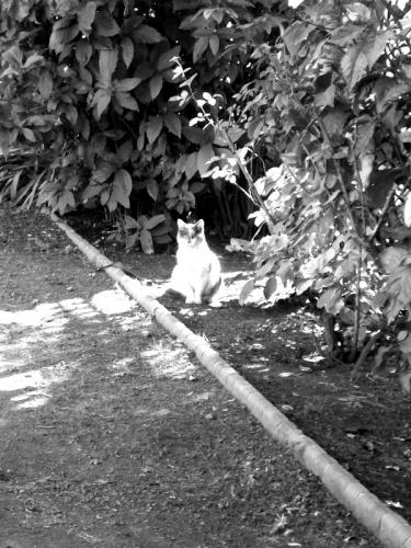 Fotografia de Julia - Galeria Fotografica: Sacadas por mi. - Foto: 								