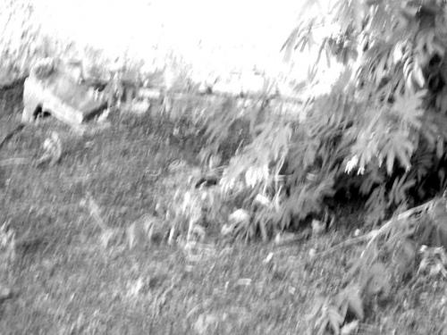 Fotografia de Julia - Galeria Fotografica: Sacadas por mi. - Foto: 								