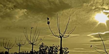 Fotografia de Javier Ballester - Galeria Fotografica: Estas son algunas de mis primeras fotos, criticadlas porfavor... - Foto: 	Abrasivo							