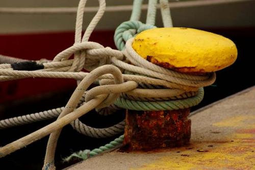 Fotografia de Javier Ballester - Galeria Fotografica: Estas son algunas de mis primeras fotos, criticadlas porfavor... - Foto: 		Atadura						