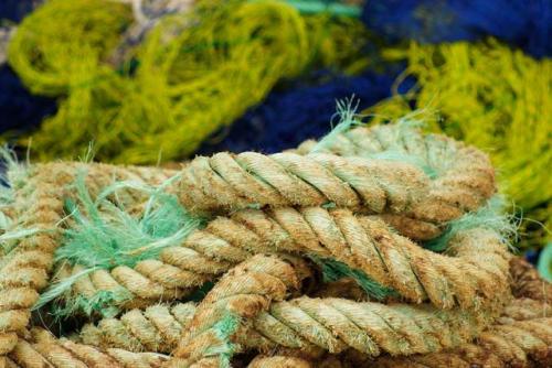 Fotografia de Javier Ballester - Galeria Fotografica: Estas son algunas de mis primeras fotos, criticadlas porfavor... - Foto: 								