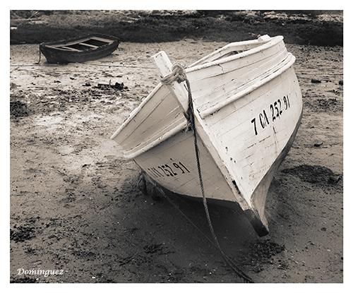 Fotografia de Javier Domnguez - Galeria Fotografica: A la mar... - Foto: Compaa...