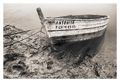 Fotografia de Javier Domnguez - Galeria Fotografica: A la mar... - Foto: A la mar...