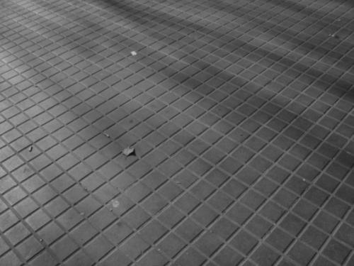 Fotografia de Javier - Galeria Fotografica: Blanco y Negro 01 - Foto: 