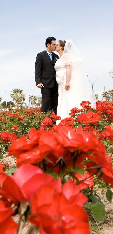 Fotografia de e. vital - Galeria Fotografica: Boda - Foto: 