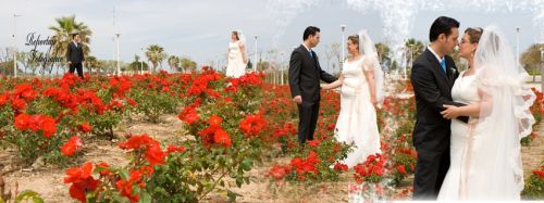 Fotografia de e. vital - Galeria Fotografica: Boda - Foto: 