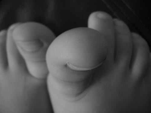 Fotografia de Alex - Galeria Fotografica: Sofia - Foto: 