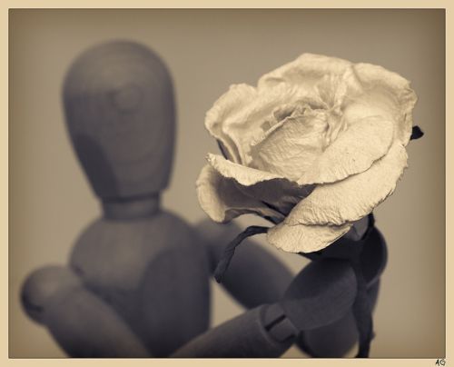 Fotografia de AG - Galeria Fotografica: Bodegn - Foto: 