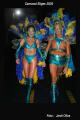 Fotos de jordi-oliva -  Foto: carnavales sitges 2005 - sitges9