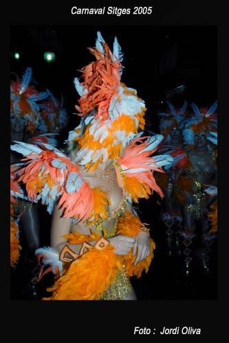 Fotografia de jordi-oliva - Galeria Fotografica: carnavales sitges 2005 - Foto: sitges11