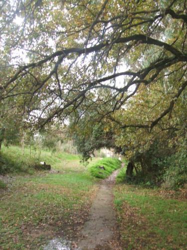 Fotografia de Ana - Galeria Fotografica: Oto�o - Foto: 								