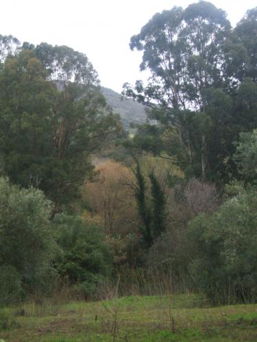 Fotografia de Ana - Galeria Fotografica: Oto�o - Foto: 								