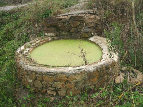 Fotografia de Ana - Galeria Fotografica: Oto�o - Foto: 								