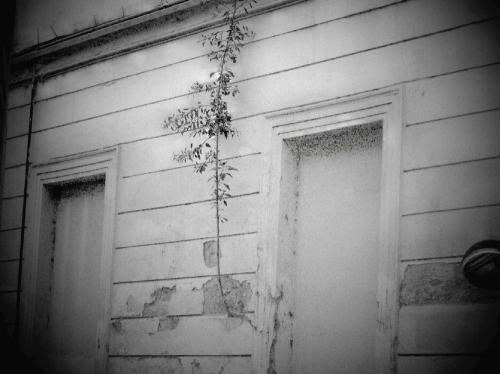 Fotografia de danielgbravo - Galeria Fotografica: Arquitectura - Foto: Vida interior