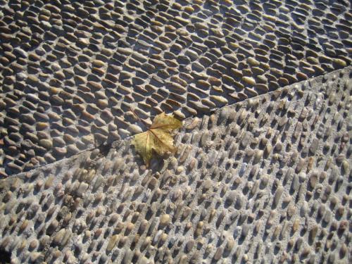 Fotografia de ozi - Galeria Fotografica: Oto�o en la Madre Patria - Foto: 