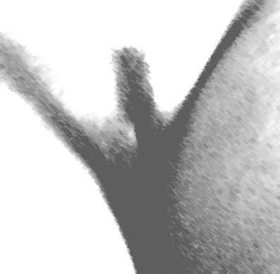 Fotografia de Artiphoto - Galeria Fotografica: mis trabajos de acuarella - Foto: 