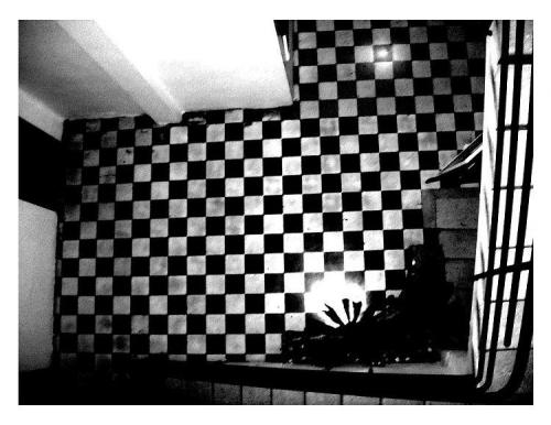 Fotografia de Claudia - Galeria Fotografica: La ausencia de color,m�s no de sentimiento - Foto: 