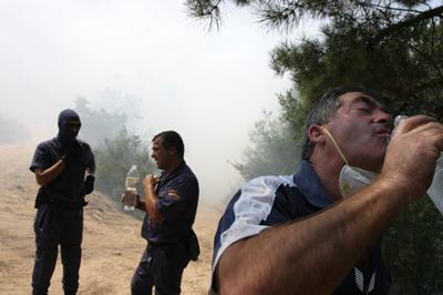 Fotografia de pelu vidal - Galeria Fotografica: ARDE GALICIA - Foto: 