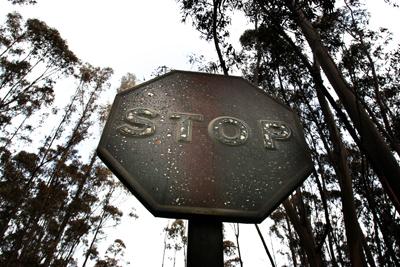 Fotografia de pelu vidal - Galeria Fotografica: ARDE GALICIA - Foto: 