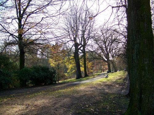 Fotografia de Fernando - Galeria Fotografica: BRUJAS - Foto: OTOO EN LOS PARQUES DE BRUJAS