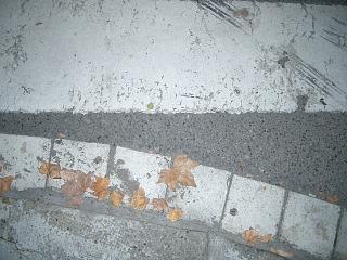 Fotografia de Javier Mart�n - Galeria Fotografica: Varios - Foto: 