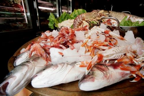 Fotografia de FernandoFotografo.com - Galeria Fotografica: Catalogo productos - Foto: 