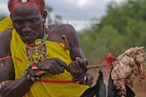 Fotografia de Antonio Nodar - Galeria Fotografica: Samburu Dance - Foto: 