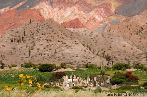 Fotografia de ARGENTINA FOTOGRAFICA - Galeria Fotografica: MI VISION EN SAFARIS FOTOGRAFICOS - Foto: 
