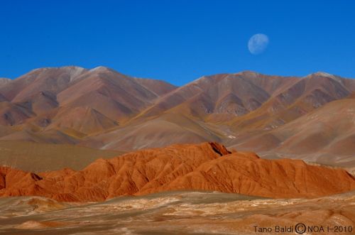 Fotografia de ARGENTINA FOTOGRAFICA - Galeria Fotografica: MI VISION EN SAFARIS FOTOGRAFICOS - Foto: 