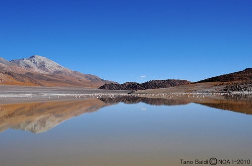 Fotografia de ARGENTINA FOTOGRAFICA - Galeria Fotografica: MI VISION EN SAFARIS FOTOGRAFICOS - Foto: 