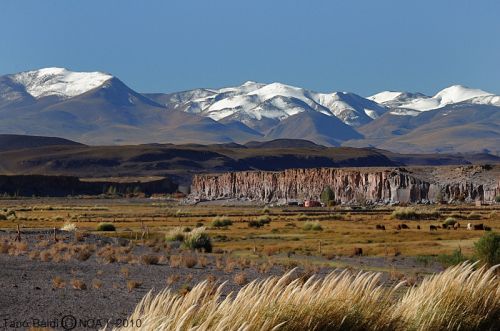 Fotografia de ARGENTINA FOTOGRAFICA - Galeria Fotografica: MI VISION EN SAFARIS FOTOGRAFICOS - Foto: 