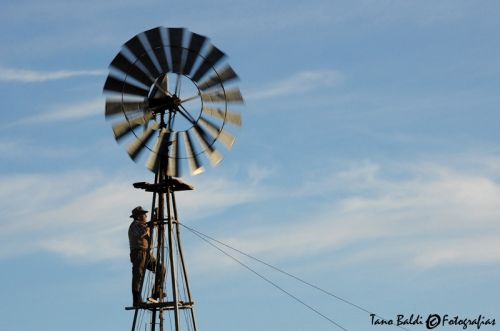 Fotografia de ARGENTINA FOTOGRAFICA - Galeria Fotografica: MI VISION EN SAFARIS FOTOGRAFICOS - Foto: 
