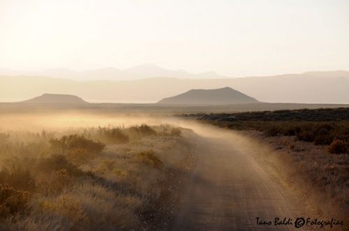 Fotografia de ARGENTINA FOTOGRAFICA - Galeria Fotografica: MI VISION EN SAFARIS FOTOGRAFICOS - Foto: 