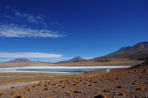 Fotografia de ARGENTINA FOTOGRAFICA - Galeria Fotografica: MI VISION EN SAFARIS FOTOGRAFICOS - Foto: 