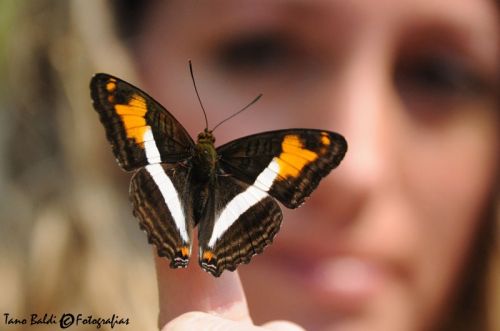 Fotografia de ARGENTINA FOTOGRAFICA - Galeria Fotografica: MI VISION EN SAFARIS FOTOGRAFICOS - Foto: 