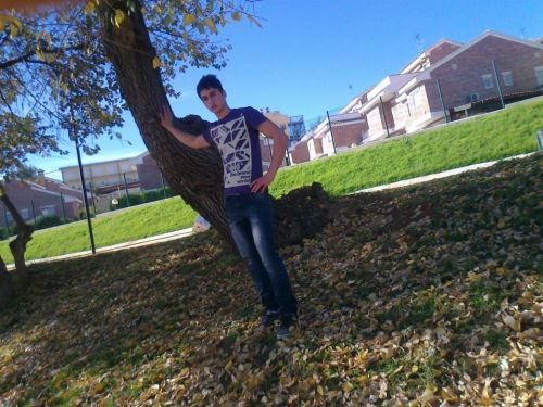 Fotografia de Chikoriko - Galeria Fotografica: Amateur - Foto: 