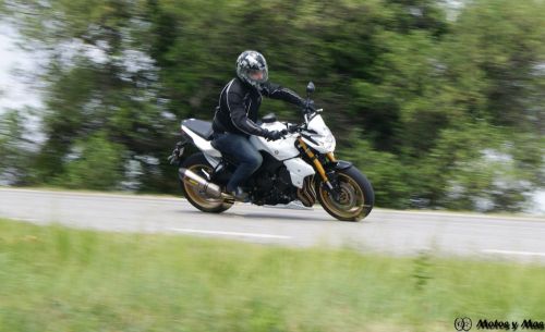 Fotografia de albert - Galeria Fotografica: pruebas - Foto: 