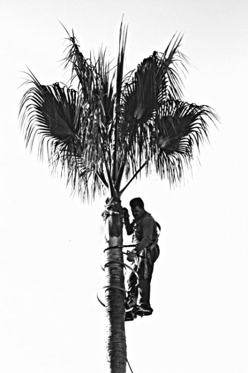 Fotografia de Jose Ochoa - Galeria Fotografica: Fotos para una Expo - Foto: 