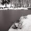 Foto de  Espacio Orienta Foto - Galería: invierno - Fotografía: 01