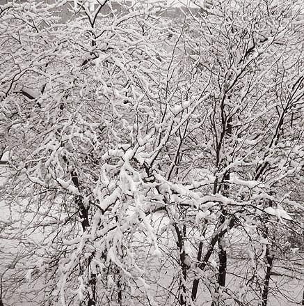 Fotografia de Espacio Orienta Foto - Galeria Fotografica: invierno - Foto: 02