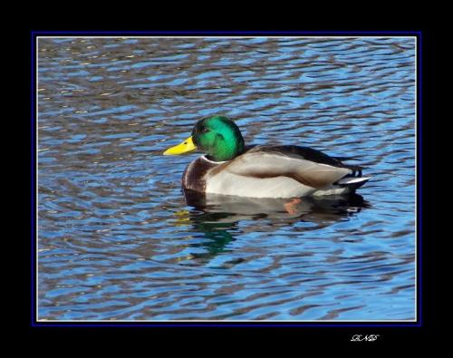 Fotografia de Roma - Galeria Fotografica: En xeral - Foto: Anade Real