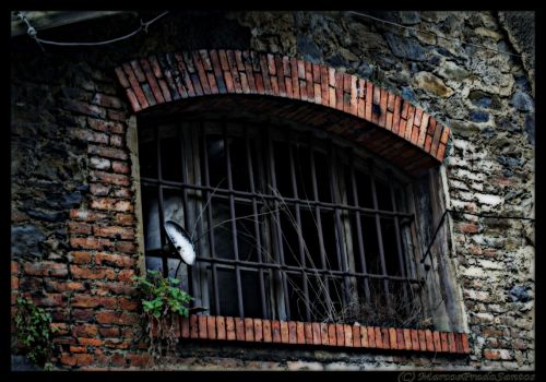 Fotografia de Marcos prado santos - Galeria Fotografica: Fotos de una serie sobre zonas, y arquitectura abandonadas en asturias-El entrego - Foto: 