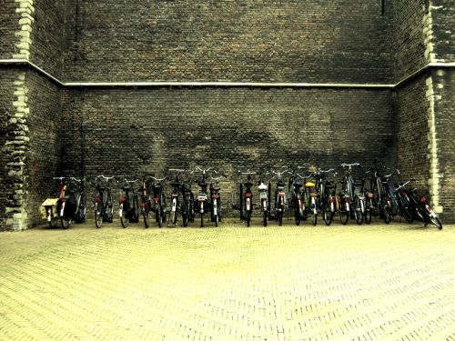 Fotografia de desastreAnimal - Galeria Fotografica: Caos vital - Foto: 