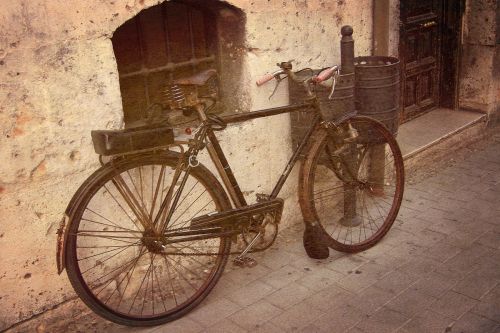 Fotografia de desastreAnimal - Galeria Fotografica: Caos vital - Foto: 