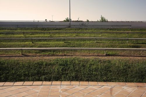 Fotografia de desastreAnimal - Galeria Fotografica: Caos vital - Foto: 