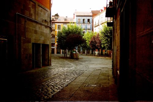 Fotografia de desastreAnimal - Galeria Fotografica: Caos vital - Foto: 