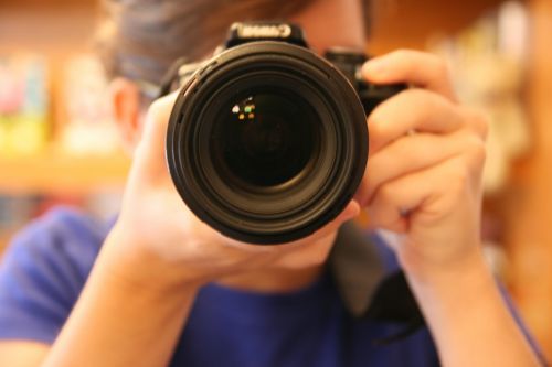 Fotografia de desastreAnimal - Galeria Fotografica: Caos vital - Foto: 