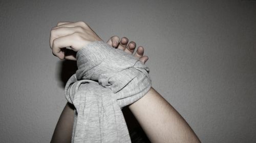 Fotografia de desastreAnimal - Galeria Fotografica: Caos vital - Foto: 