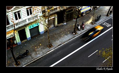 Fotografia de Eladio.R.Rueda - Galeria Fotografica: Momentos - Foto: Taxi!!